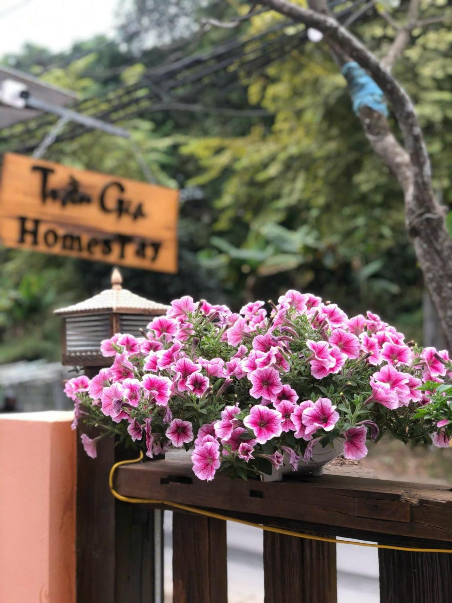 Tran Gia Homestay Nghia Lo Eksteriør bilde